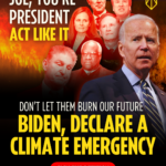 Joe, you're the president. Act like it. Don't let them burn our future. Biden, declare a climate emergency. Joe Biden pictured with Joe Manchin and Supreme Court Justices in front of wildfires.